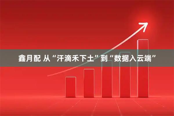 鑫月配 从“汗滴禾下土”到“数据入云端”