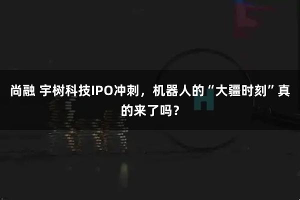尚融 宇树科技IPO冲刺，机器人的“大疆时刻”真的来了吗？