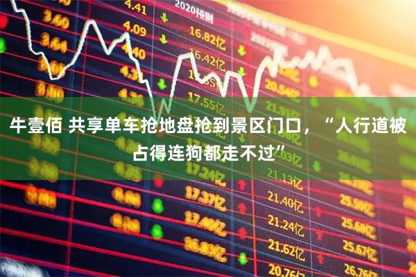 牛壹佰 共享单车抢地盘抢到景区门口，“人行道被占得连狗都走不过”