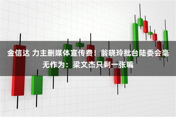 金信达 力主删媒体宣传费！翁晓玲批台陆委会毫无作为：梁文杰只剩一张嘴